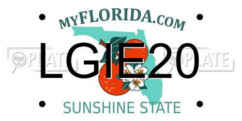 LGIE20 Florida License Plate