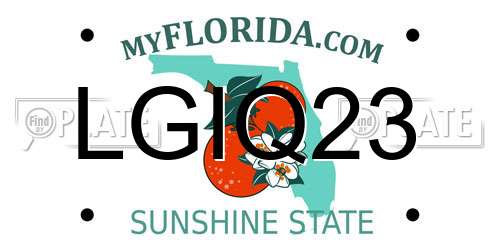 LGIQ23 Florida License Plate