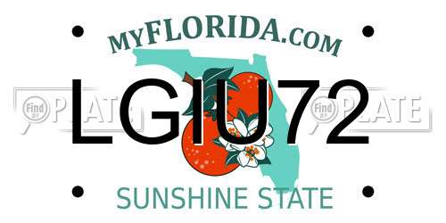 LGIU72 Florida License Plate