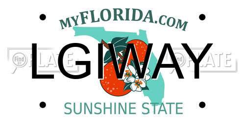LGIWAY Florida License Plate