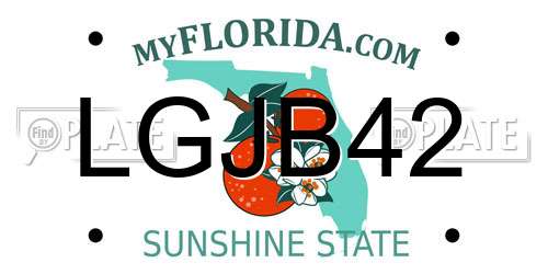 LGJB42 Florida License Plate
