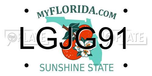 LGJG91 Florida License Plate