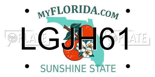 LGJH61 Florida License Plate
