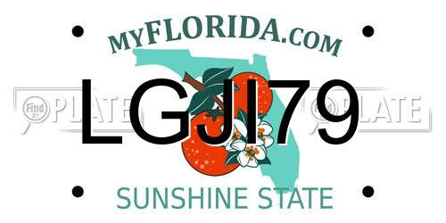LGJI79 Florida License Plate
