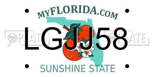 LGJJ58 Florida License Plate