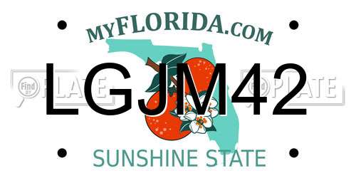 LGJM42 Florida License Plate