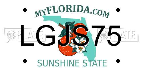 LGJS75 Florida License Plate