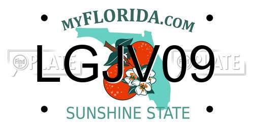 LGJV09 Florida License Plate