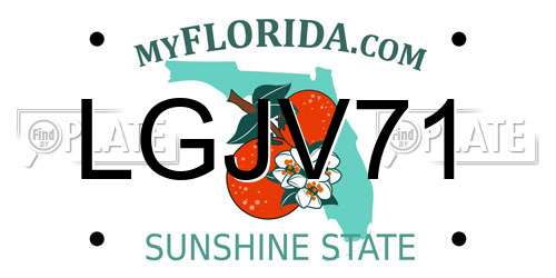 LGJV71 Florida License Plate