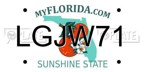 LGJW71 Florida License Plate