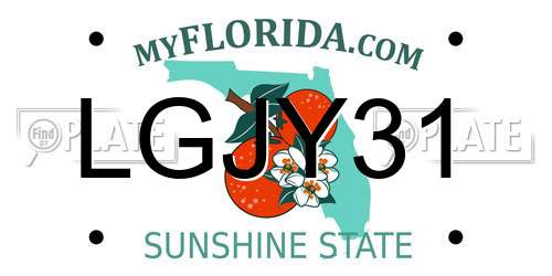 LGJY31 Florida License Plate
