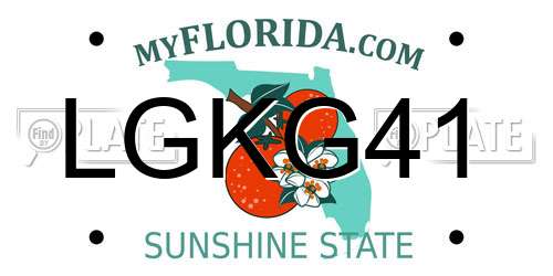LGKG41 Florida License Plate
