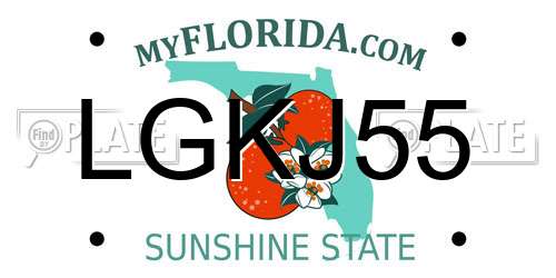 LGKJ55 Florida License Plate
