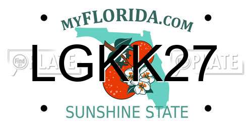 LGKK27 Florida License Plate