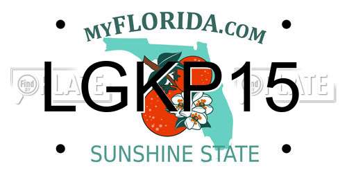 LGKP15 Florida License Plate