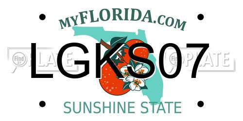 LGKS07 Florida License Plate