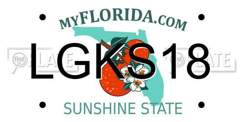 LGKS18 Florida License Plate