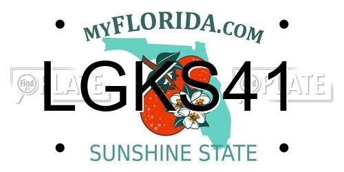 LGKS41 Florida License Plate