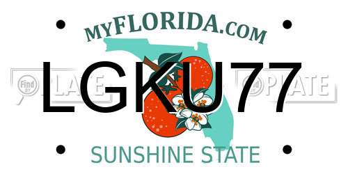 LGKU77 Florida License Plate