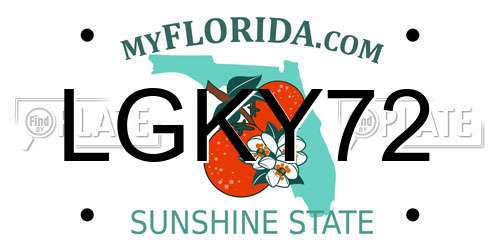 LGKY72 Florida License Plate