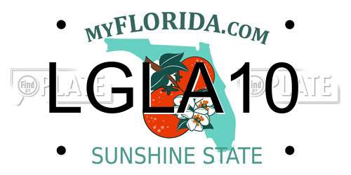 LGLA10 Florida License Plate