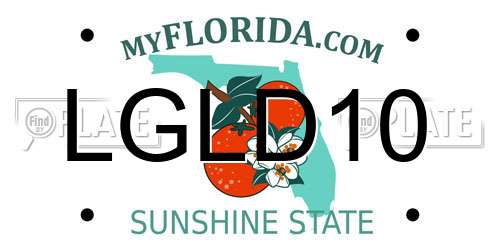 LGLD10 Florida License Plate