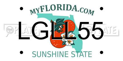 LGLL55 Florida License Plate