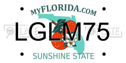 LGLM75 Florida License Plate