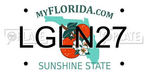 LGLN27 Florida License Plate