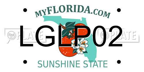 LGLP02 Florida License Plate