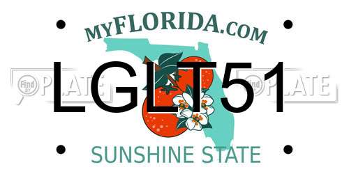 LGLT51 Florida License Plate