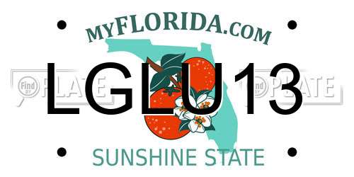 LGLU13 Florida License Plate