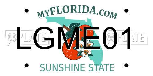 LGME01 Florida License Plate