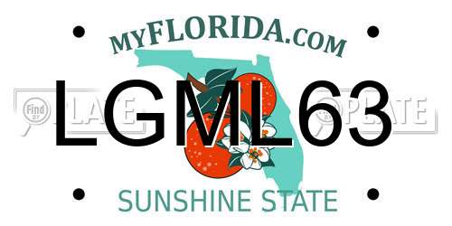 LGML63 Florida License Plate