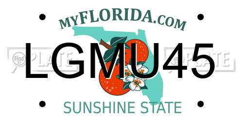 LGMU45 Florida License Plate