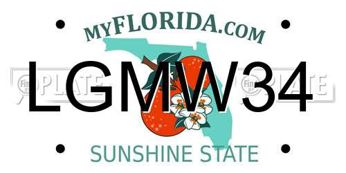 LGMW34 Florida License Plate