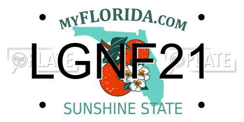 LGNF21 Florida License Plate