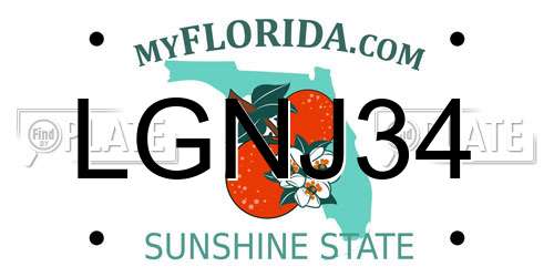 LGNJ34 Florida License Plate