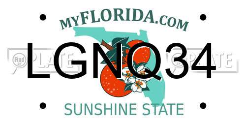 LGNQ34 Florida License Plate