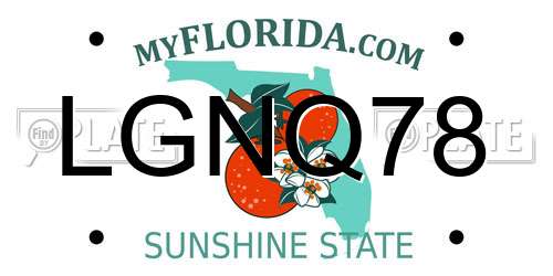 LGNQ78 Florida License Plate