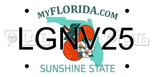 LGNV25 Florida License Plate