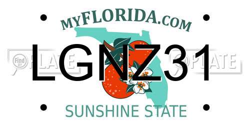 LGNZ31 Florida License Plate