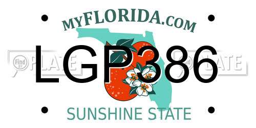 LGP386 Florida License Plate