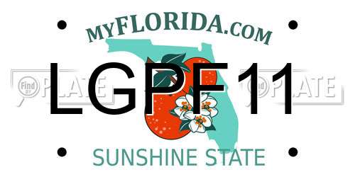 LGPF11 Florida License Plate