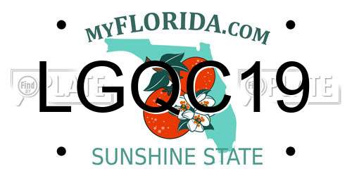 LGQC19 Florida License Plate