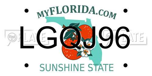 LGQJ96 Florida License Plate