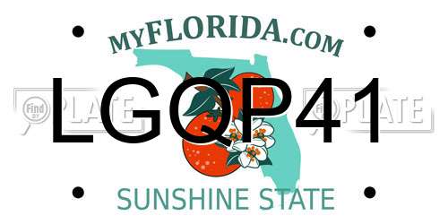 LGQP41 Florida License Plate