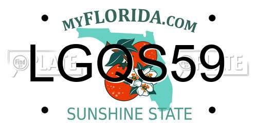 LGQS59 Florida License Plate