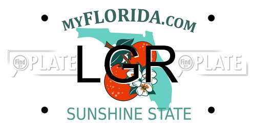 LGR Florida License Plate
