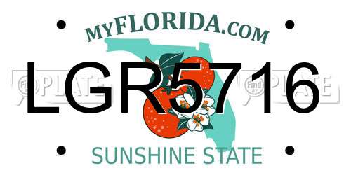 LGR5716 Florida License Plate